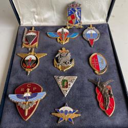 Lot d'insignes parachutistes militaire Militaria