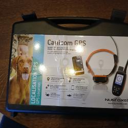 Collier avec centrale GPS Canicom Num'axes