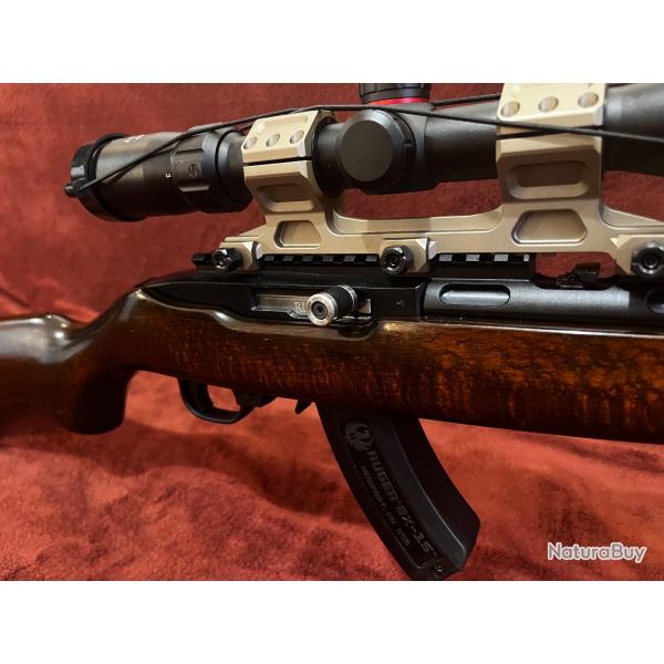 Ruger 10/22