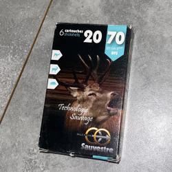 Balle flèches sauvestre calibre 20.