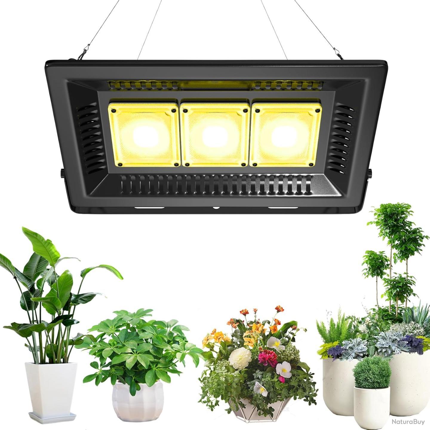 Lampe Horticole LED Bamworld Avec Minuterie – Spectre Complet, Intensité 10 Niveaux, Col Flexible USB, Pour Plantes D'intérieur