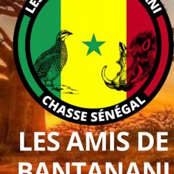 Séjour de chasse au Sénégal