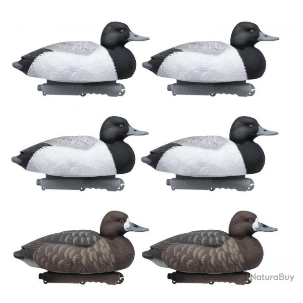 Lot de 6 appelants morillons flottants