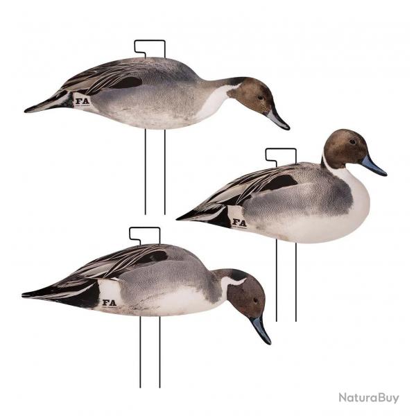 Final Approach Last Pass - Silhouettes Canard Pilet - Lot de 12