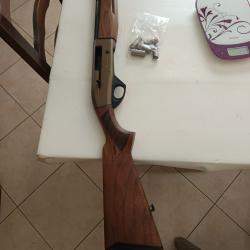 Armsan phenoma cal28