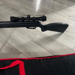 Carabine à plomb GAMO black bear avec sa lunette GAMO 4x32 son bipied et son fourreau GAMO NEUVE!!
