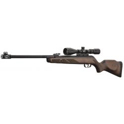 PACK CARA. À AIR COMPRIMÉ GAMO HUNTER 440 AS CAL. 4,50 MM BOIS 19,9J