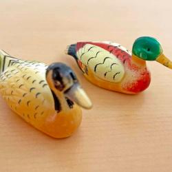 Couple de canards nageant