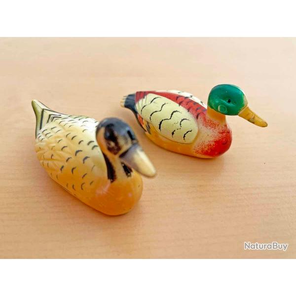 Couple de canards nageant