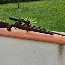 Carabine VERNEY CARRON  270 IMPACT PLUS + Lunette SCHMIDT & BENDER 1/4 4x20
