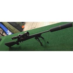 Pack TLD Carabine SAUER 100 XT Cal.308Win+Steiner Ranger 6 3-18x56+bipied+silencieux Stalon X108