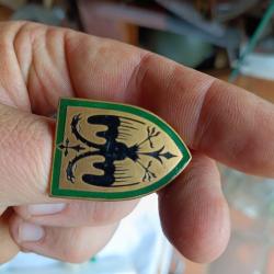 19° Régiment de Dragons Insigne