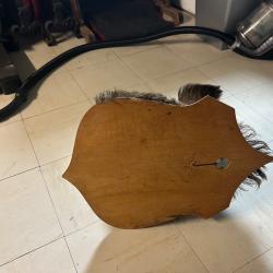 Tête de sanglier naturalise