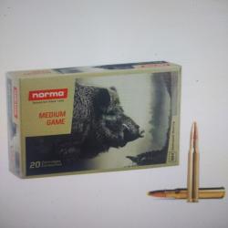 Boîtes de 20 munitions norma 11.7g 180gr ppdc plastic point 30-06