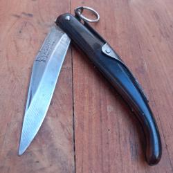 Joli Couteau AGOUTI MADE IN FRANCE Manche en Résine