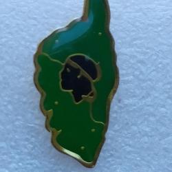 PINS CORSE ILE  CORSE TETE MAURE FOND VERT
