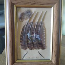 Peinture sur plumes bécasse des bois.