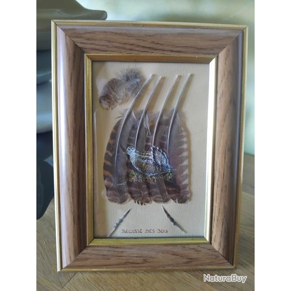 Peinture sur plumes bcasse des bois.