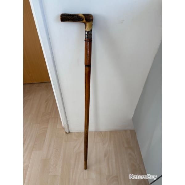 Canne fusil