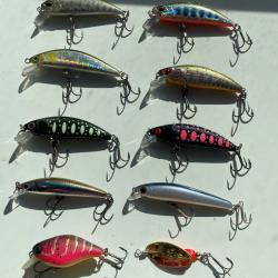Poissons nageurs truite perche