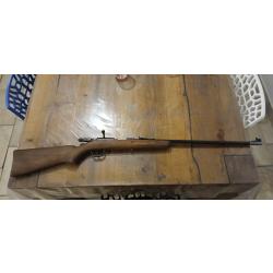 Carabine 6mm