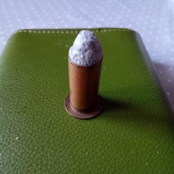 Cartouche pour carabine Maynard