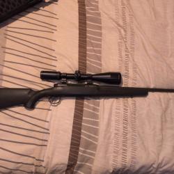 Savage axis gaucher