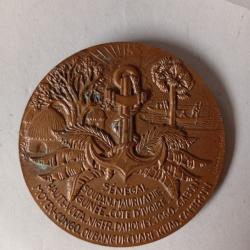 MEDAILLE BRONZE IVe République, Centenaire des troupes africaines, par Tschudin, 1957 Paris.