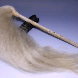 Saihai edo de Samourai