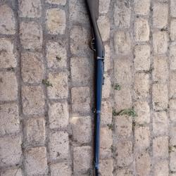 Carabine gras 1874
