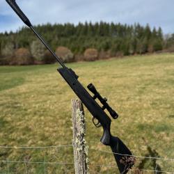 Carabine à plombs