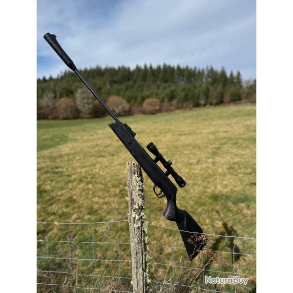 Carabine  plombs