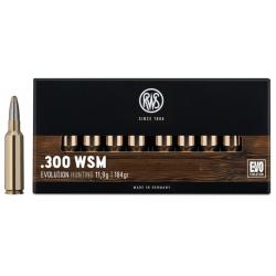LOT DE 40 MUNITIONS RWS CAL 300WSM EVO 11.9G  184GR