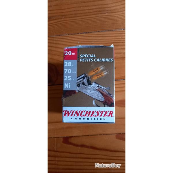 Winchester 25 cartouches calibre 20