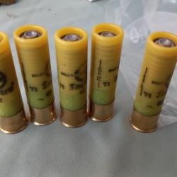 Lot de 5 balles sauvestre calibre 20