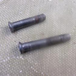 2 vis de pontet de Remington 700