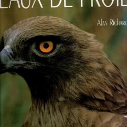 oiseaux de proie de alan richards