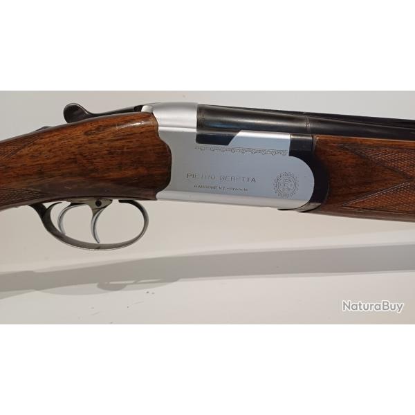 Beretta s55 gaucher