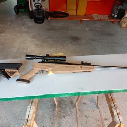 Carabine à air comprimé 5.5