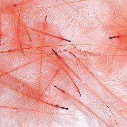 Cul de canard PETITJEAN 1gr n°3 rose rouge