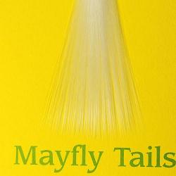 Mayfly tails blanc