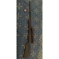 Carabine 4,5mm 19.9j GAMO Black Bull Whisper