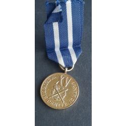 MEDAILLE SERVICE PENITENTIAIRE POLOGNE 3