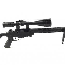 Carabine à verrou Ruger RPR 22LR