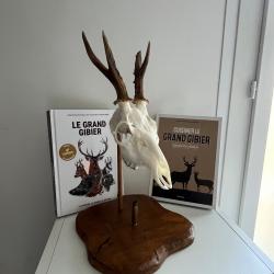 Piédestal brocard bois massifs