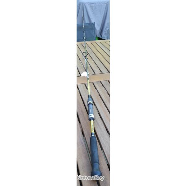 Canne Spinning DAWA POWERMESH 2 Brins en 2,10M