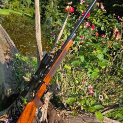 MAUSER 66