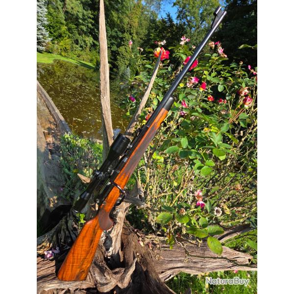 MAUSER 66