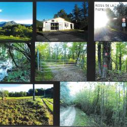 45,9661 ha - FORÊT DE CANTELLOPS - ( 66 ) PYRÉNÉES-ORIENTALES