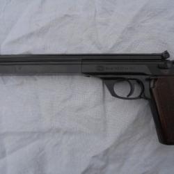 MAUSER HS 22  cal 22LR pour nostalgique !